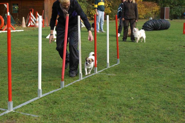 agility 2011-10-30